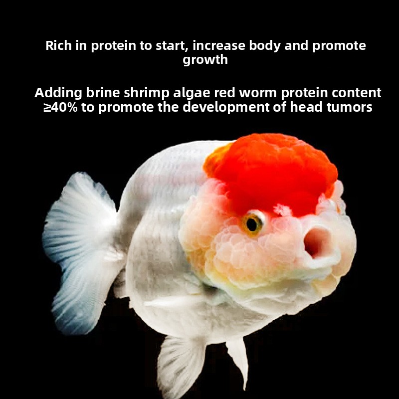 Fish Baby Sinking Goldfish Foo - Baby Food With Protein 评论和价格