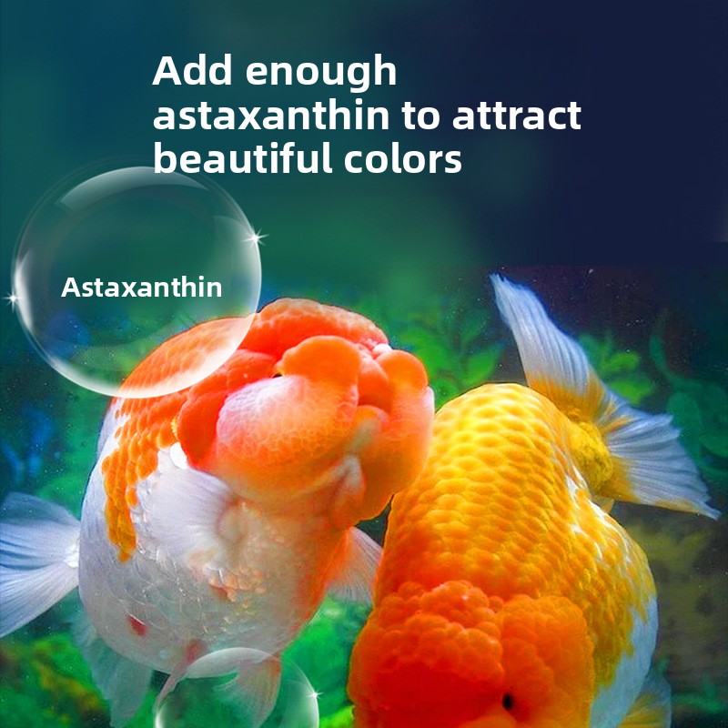 Fish Baby Sinking Goldfish Foo - Baby Food With Protein 评论和价格