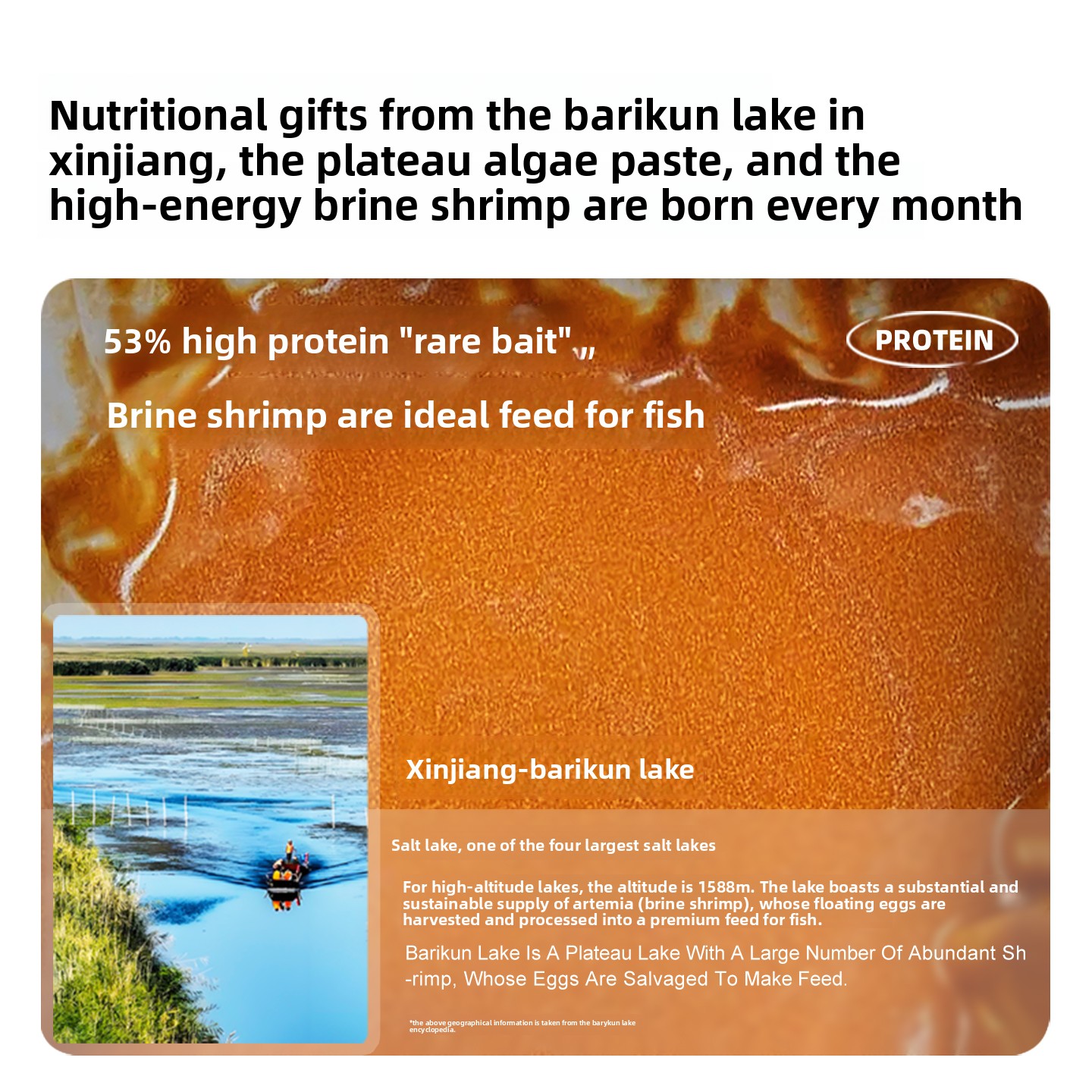 SANKii Decapsulated Brine Shri - Baby Food With Protein 评论和价格