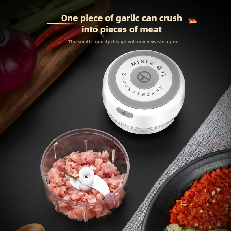 Electric Mini Garlic Chopper 1 - Baby Food For 1 Year Old 评论和价格