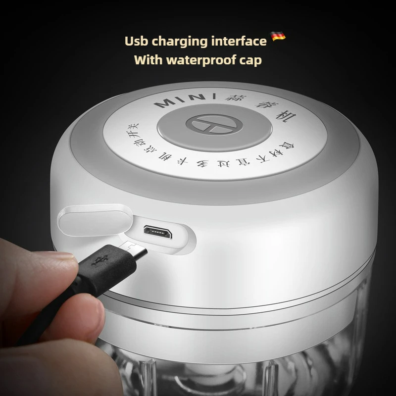 Electric Mini Garlic Chopper 1 - Baby Food For 1 Year Old 评论和价格