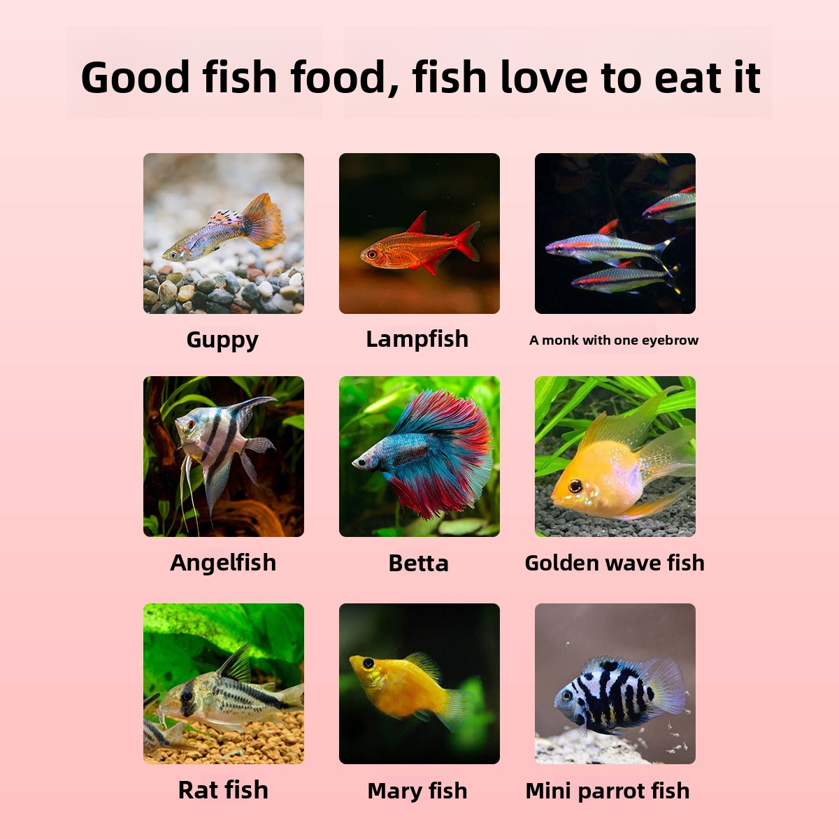 DINGZU Tropical Nano Fish Food - Baby Food With Protein 评论和价格