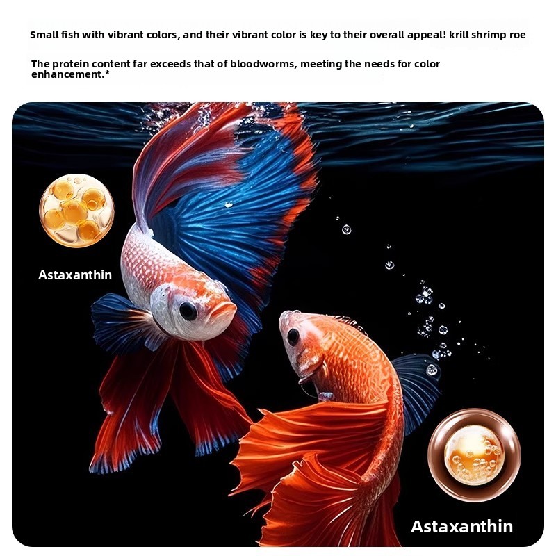 Yee Krill & Baby Shrimp Dry Fo - Baby Food With Protein 评论和价格